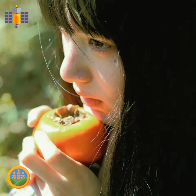 老李